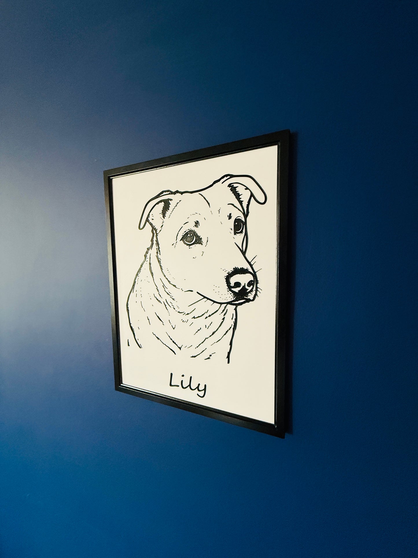 Frame Your Pet - A3 Size