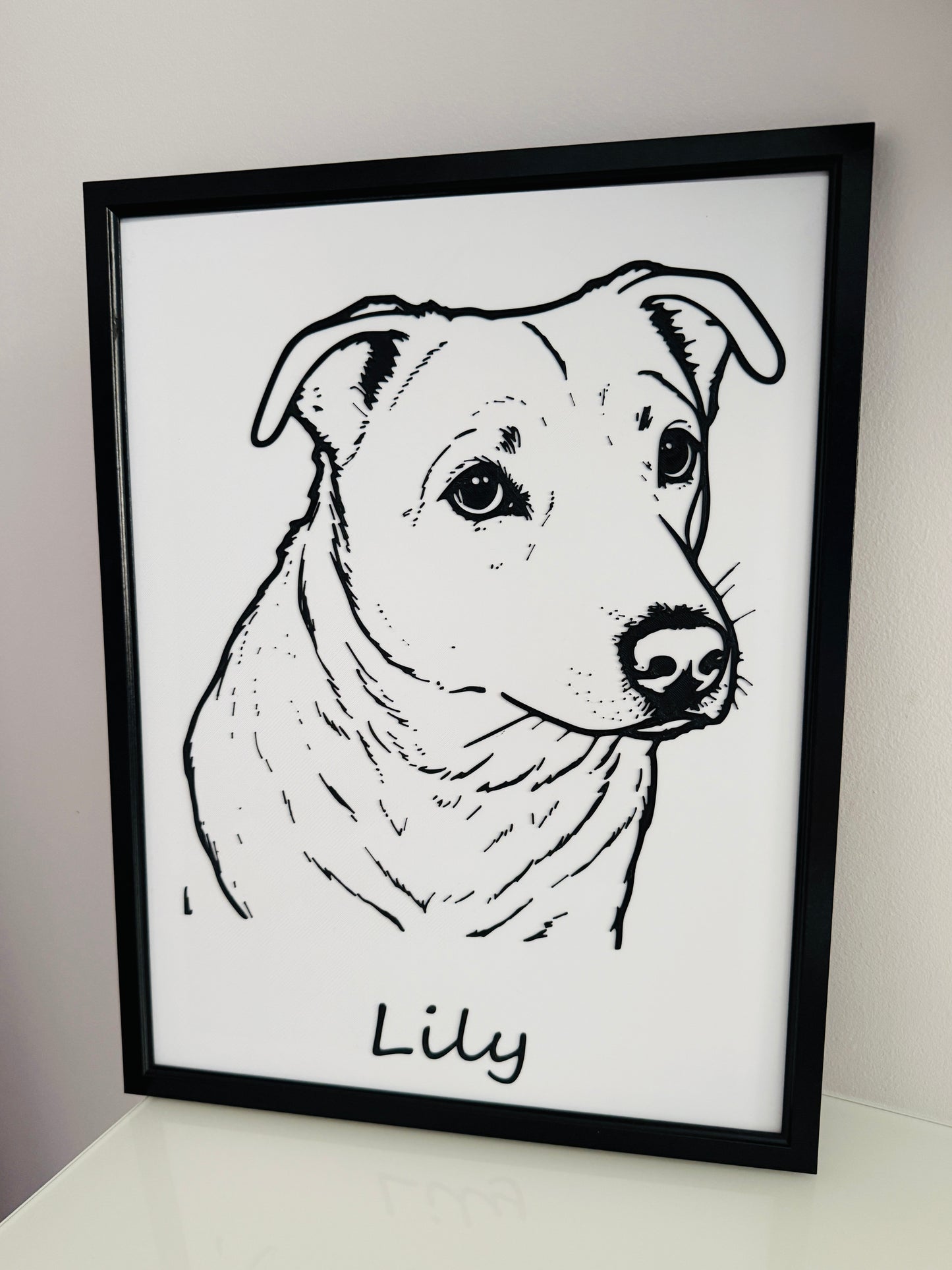 Frame Your Pet - A3 Size