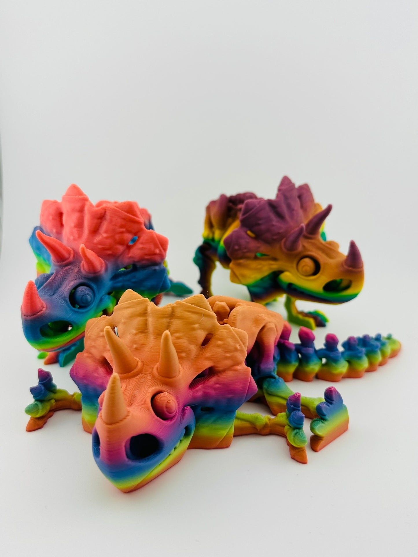 Skeleton Triceratops