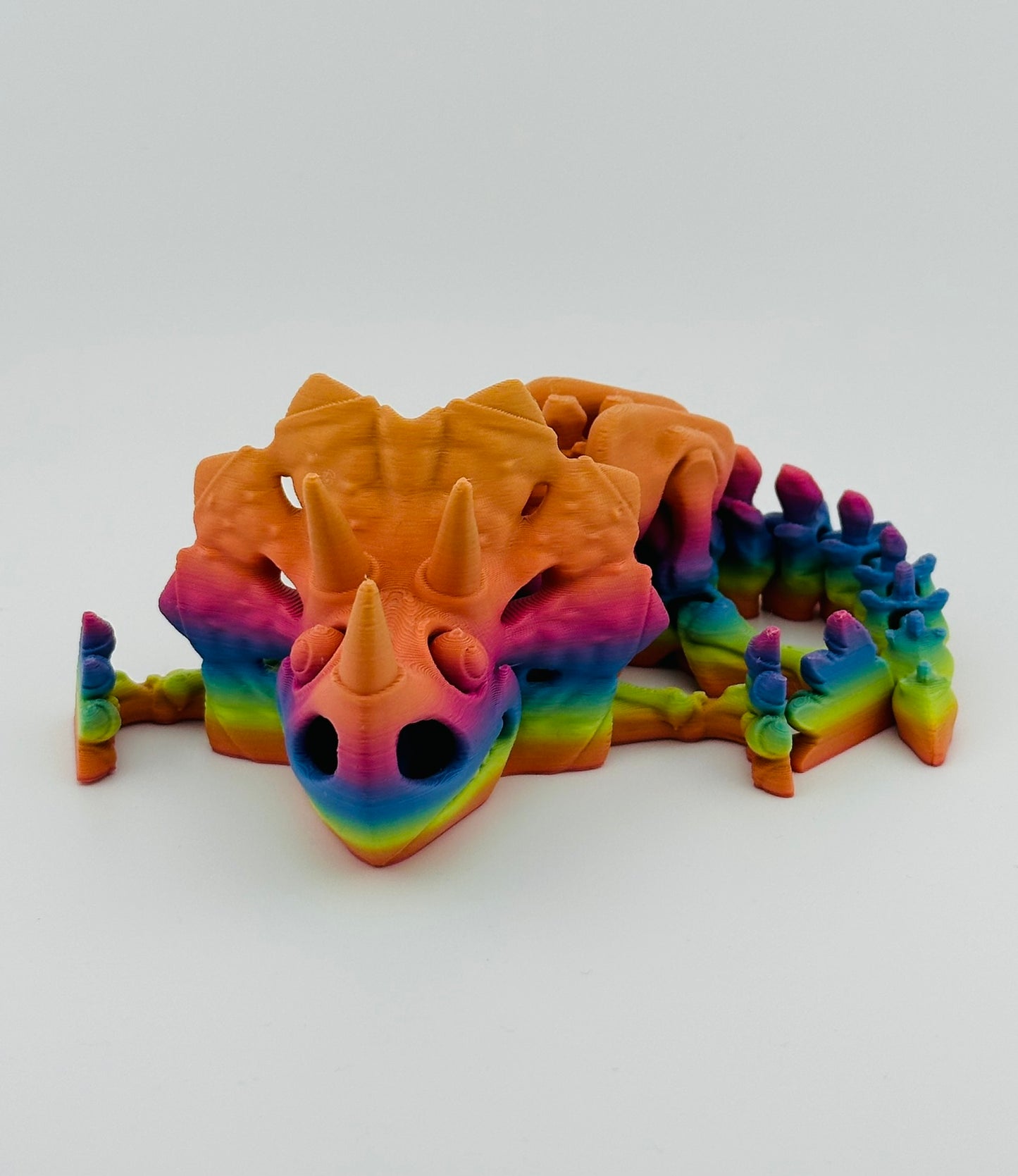 Skeleton Triceratops