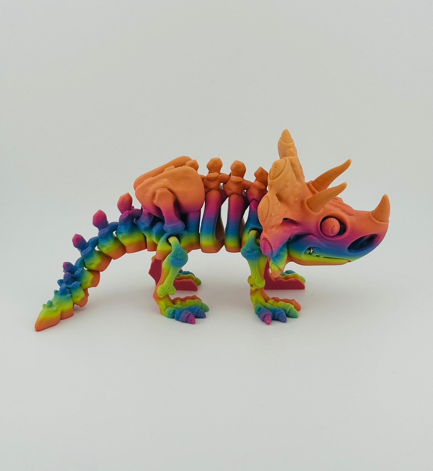 Skeleton Triceratops